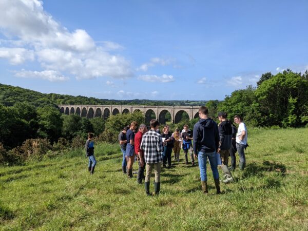 Sur la coline au-dessus du viaduc de Daoulas