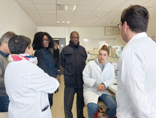 Le professeur Florence Uphie Chinje dans un laboratoire de Génie Biologique