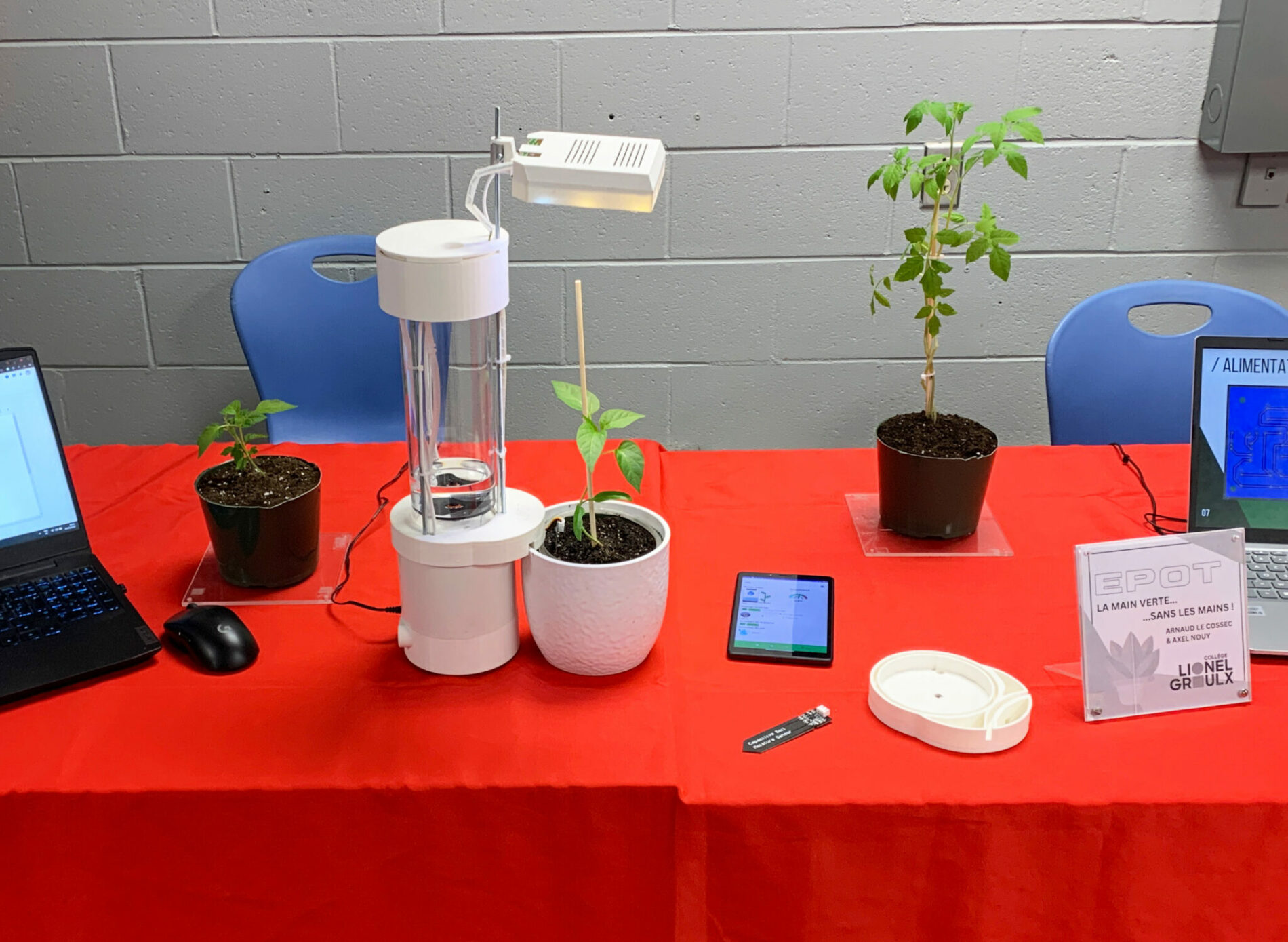 Pot De Fleurs Intelligent Ivy - Robot Plante Avec Expressions, Arrosage Automatique, Capteurs - Décoration Maison/Bureau