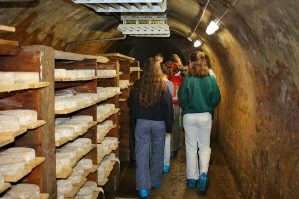 Dans les caves d'affinage